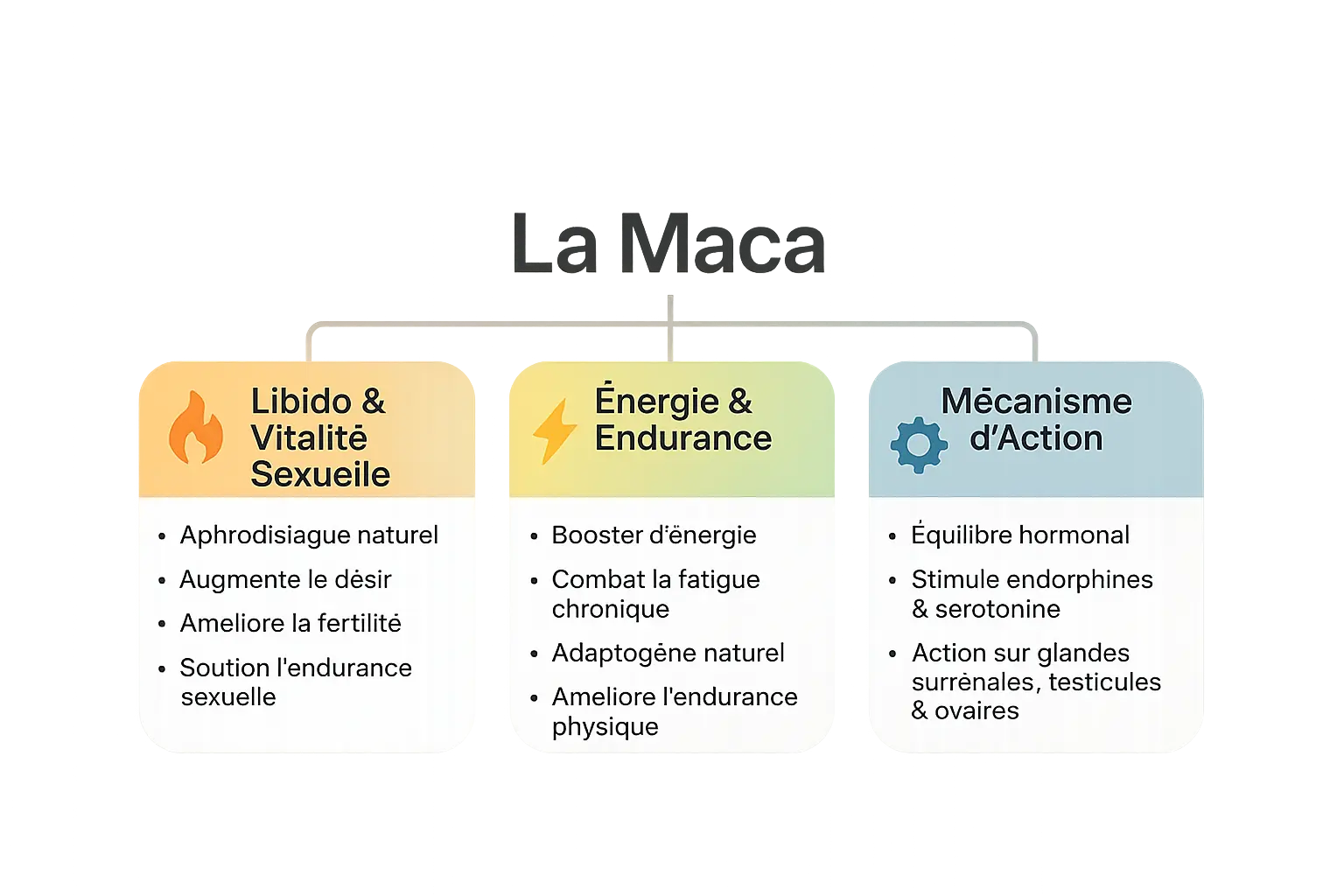 Illustration des bienfaits de la maca sur la libido et l'énergie