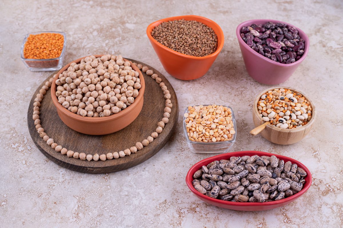 Highest-protein foods: Ciqual ranking