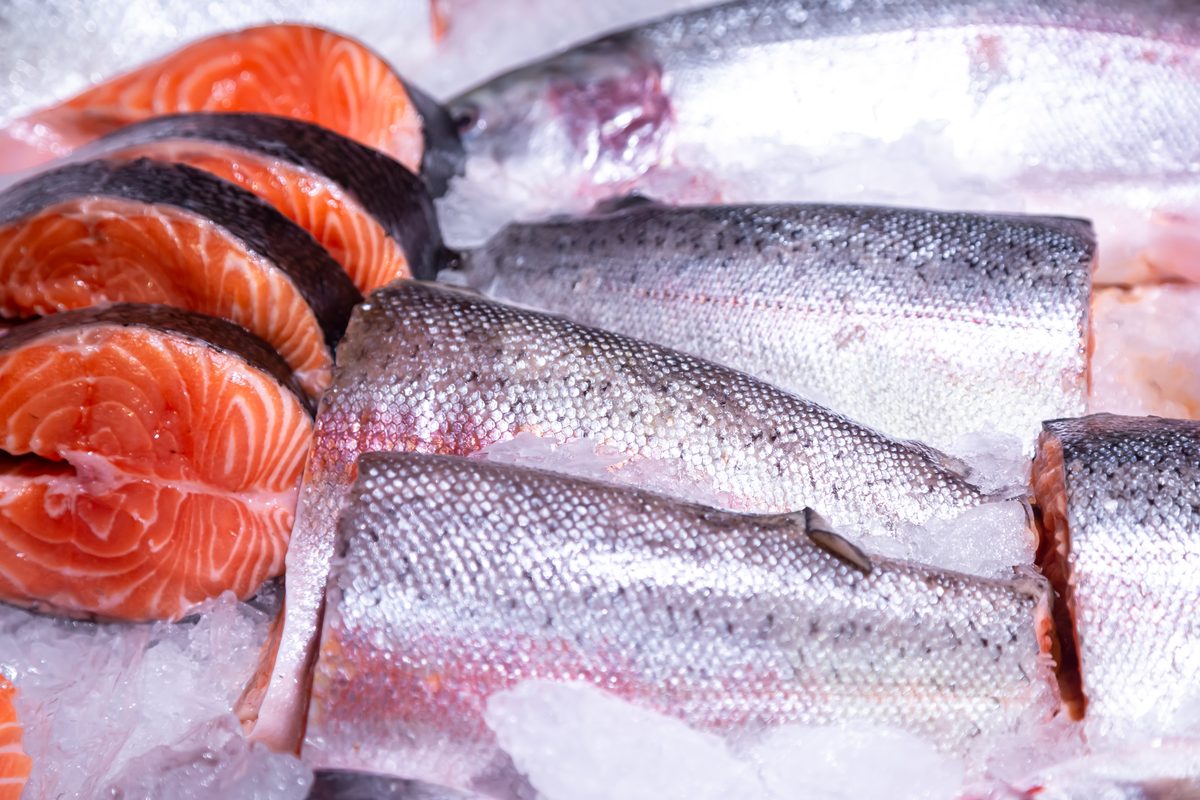 Darnes de saumon cru sur l'étal glacé d'une poissonnerie