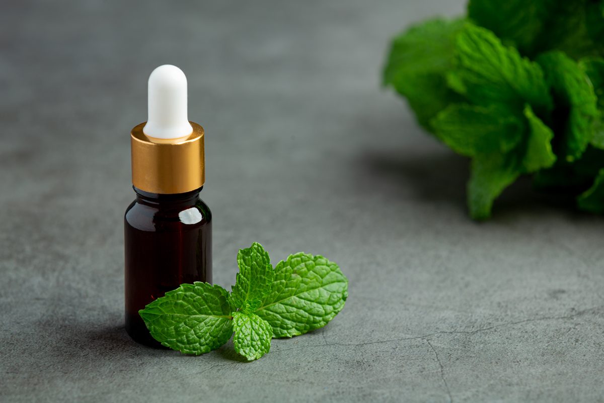 Bottle of peppermint essential oil surrounded by fresh leaves