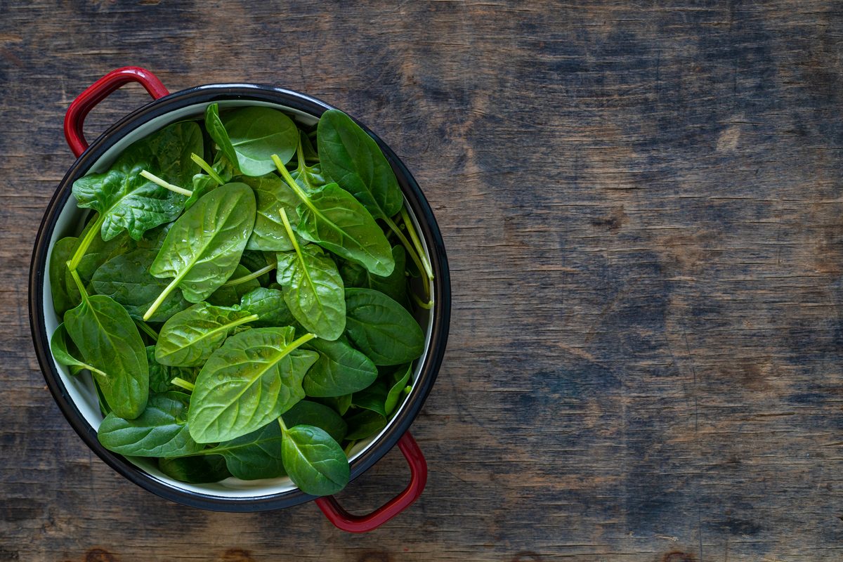 Jeunes pousses d'épinards dans une casserole émaillée sur une table en bois