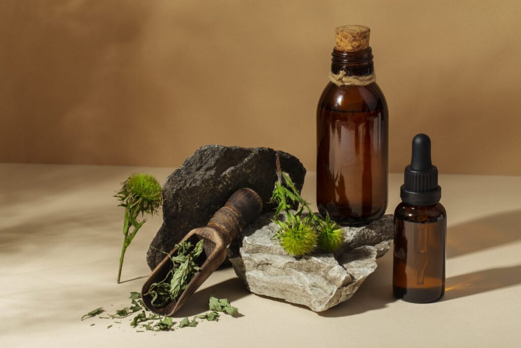 Naturopathe : fiche métier, formation, salaire et débouchés