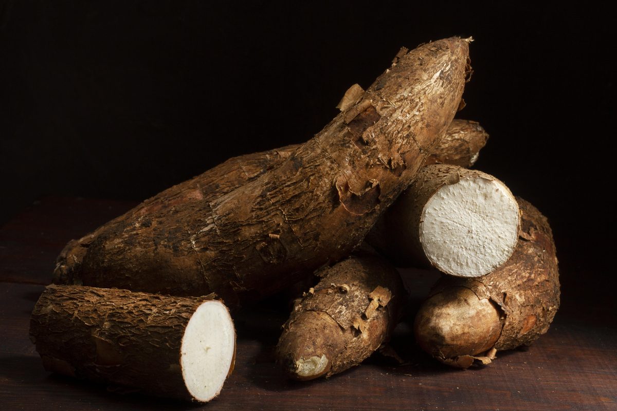 Whole and cut cassava roots on a dark background