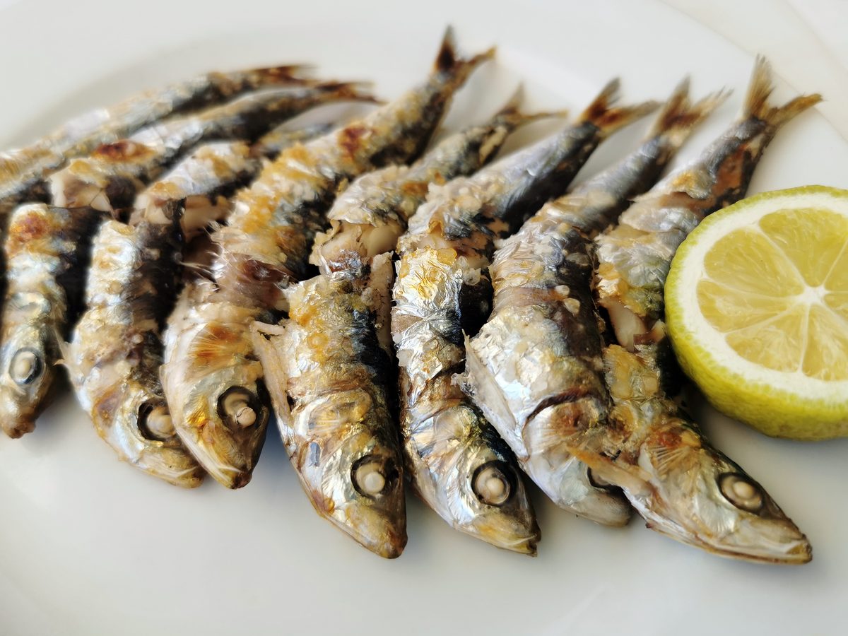 Sardines grillées en brochettes, façon espetos