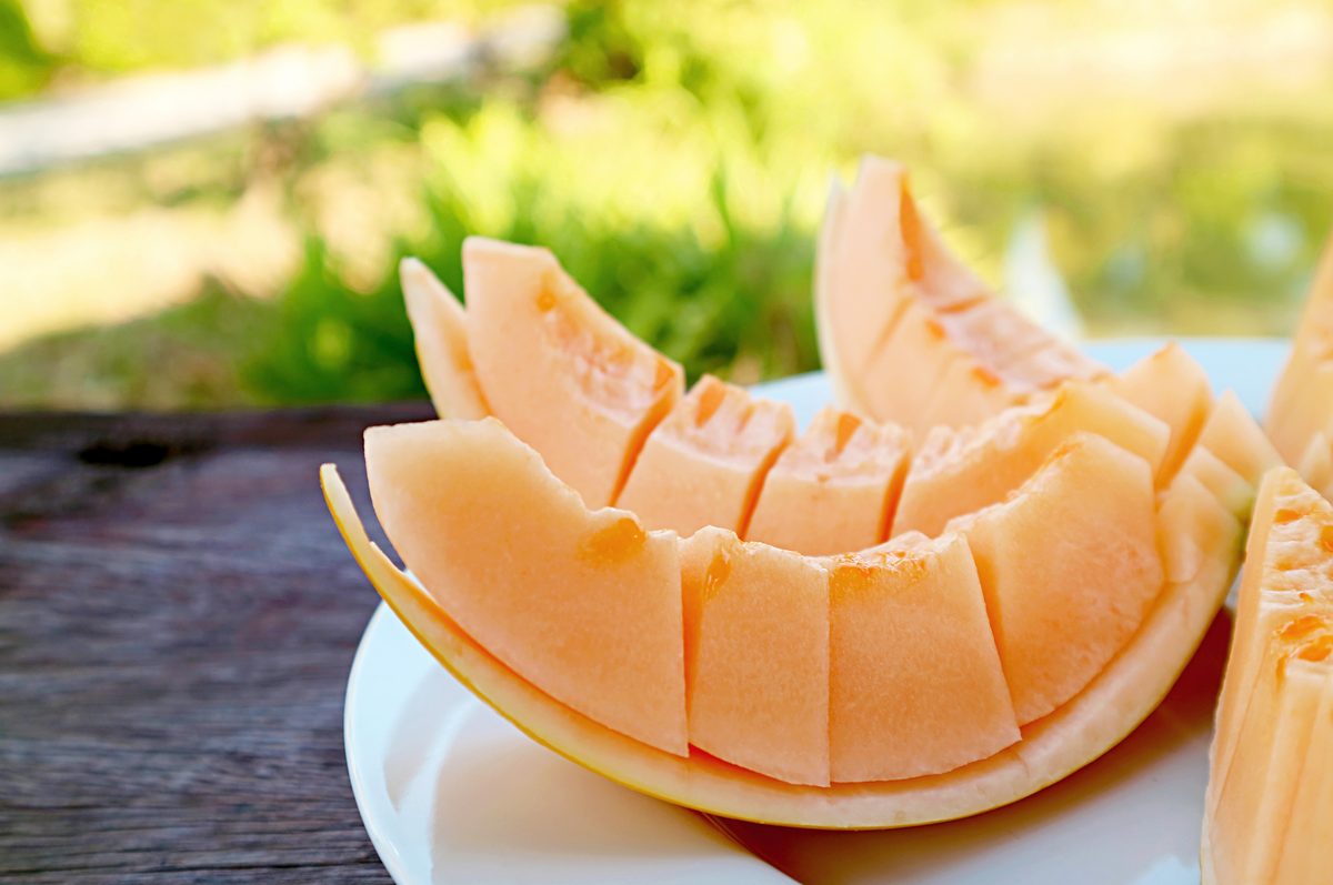 Slices of Charentais melon cut on a plate on a garden table