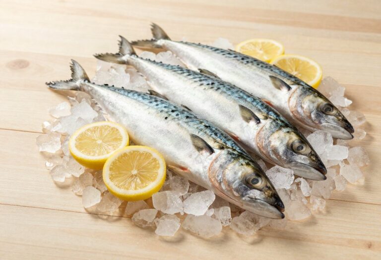 Whole fresh horse mackerel