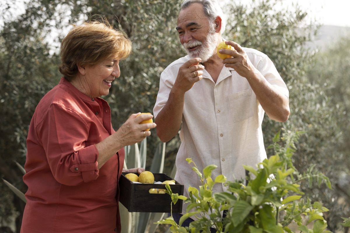 Older couple picking lemons in their garden