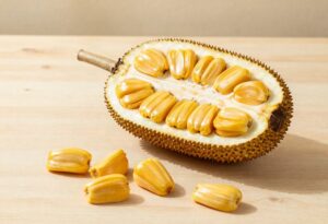 Fruit du jacquier