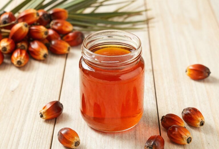 Palm oil and palm fruits